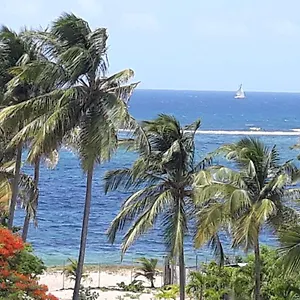 à La Semaine, Au Mois Ou , Le Moule Guadeloupe